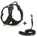 Arnés para perro con correa incluida vista completa