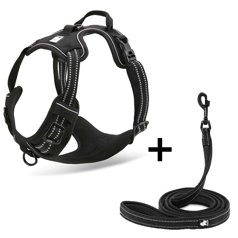 Arnés para perro con correa incluida vista completa
