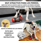 Dispensador de comida para perros
