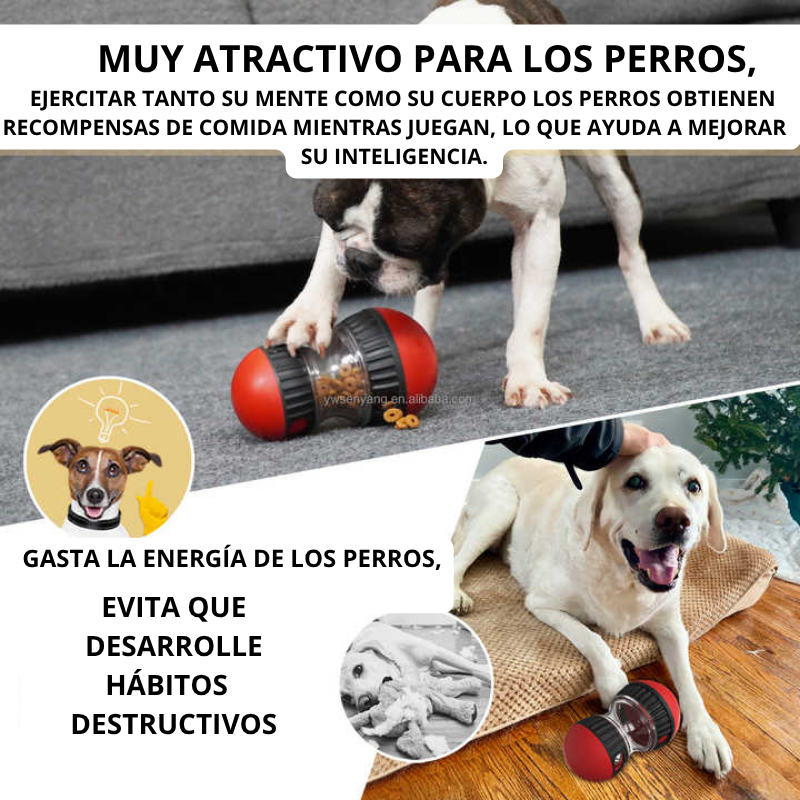 Dispensador de comida para perros