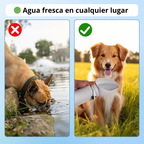 Bebedero portátil plegable para perros 550 ml
