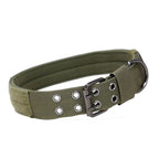 Reinforced nylon tactical dog collar