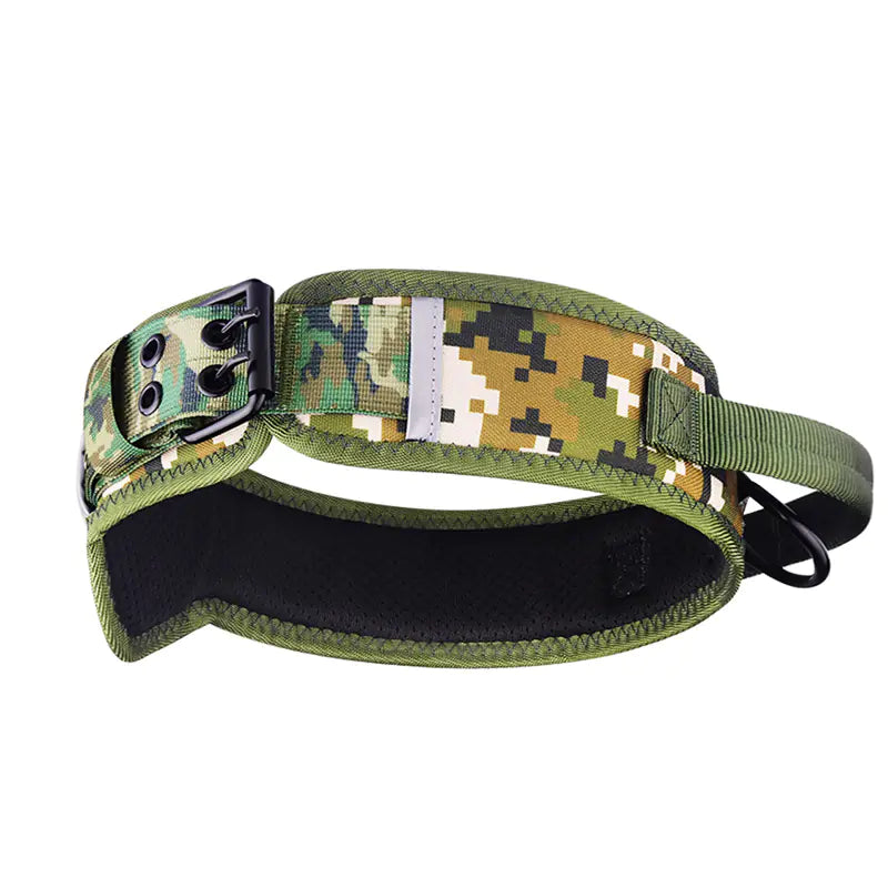 Collar de nylon para perros
