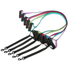 Correa de control con doble asa para perros