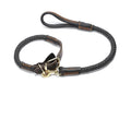 Leather collar and leash set