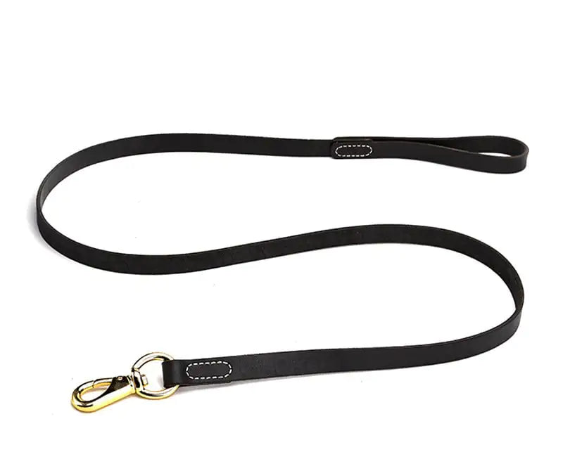 Correa de cuero para perros