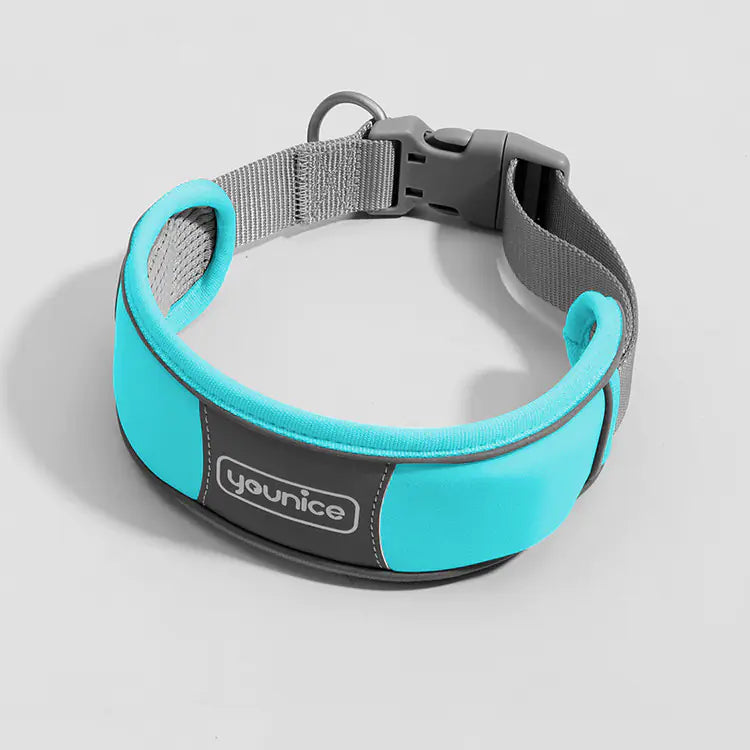 Collar acolchado de nylon para perros