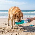 Bebedero en la playa