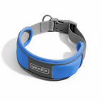 Collar azul sobre fondo blanco