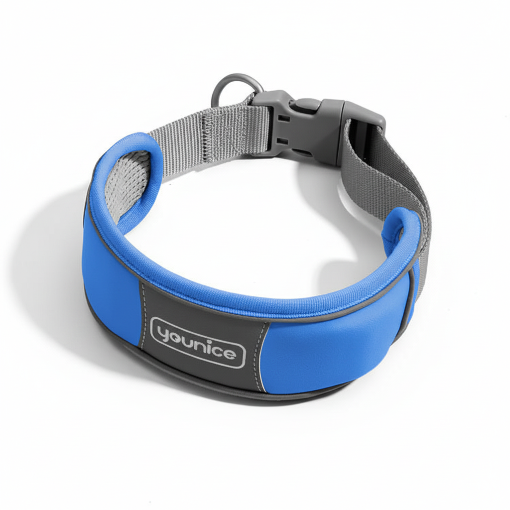 Collar azul sobre fondo blanco