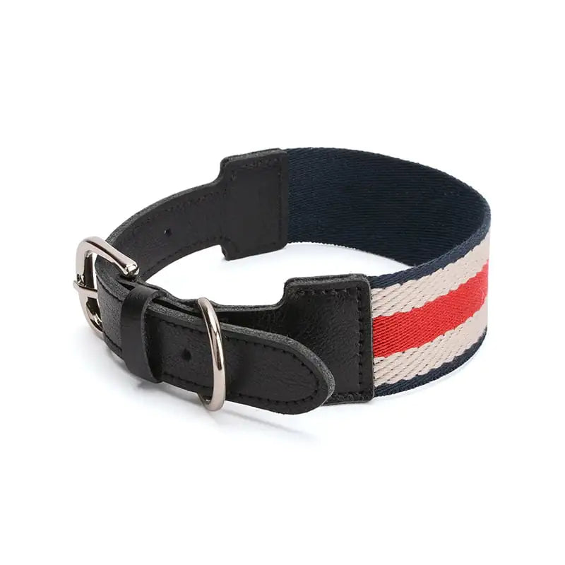 Collar para perro color negro