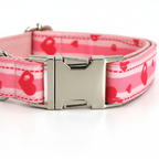 Collar para perro rosa con estuche