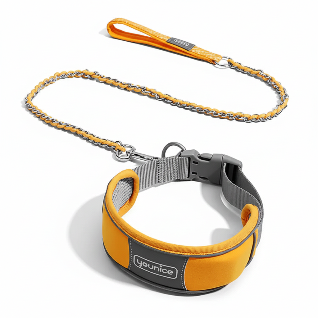 Collar y correa naranja sobre fondo blanco