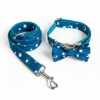 Correa para perro color azul