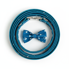 Correa para perro enrollada vista superior