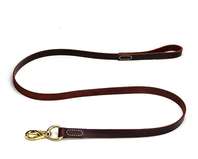 Correa de cuero para perros