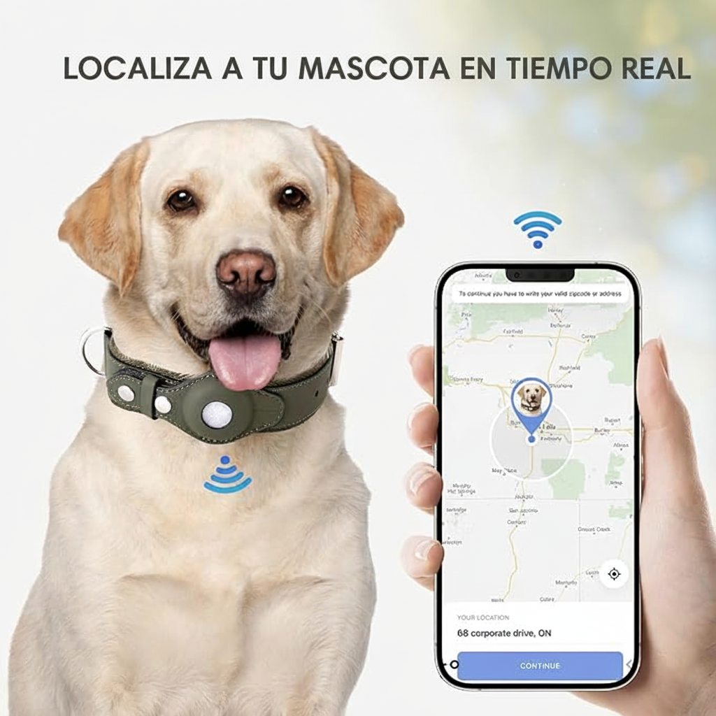 Localiza a tu mascota en tiempo real