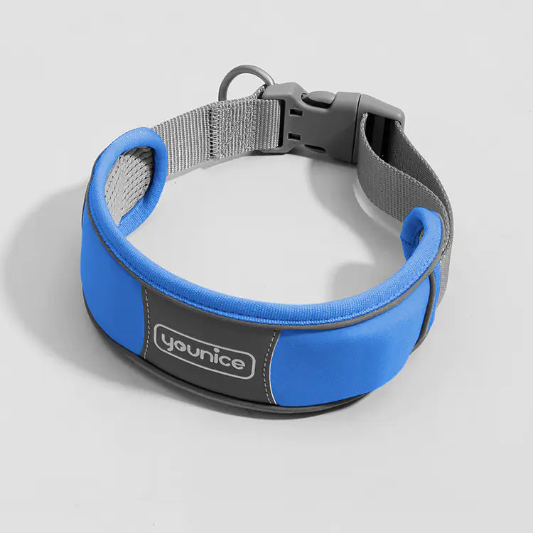 Collar acolchado de nylon para perros