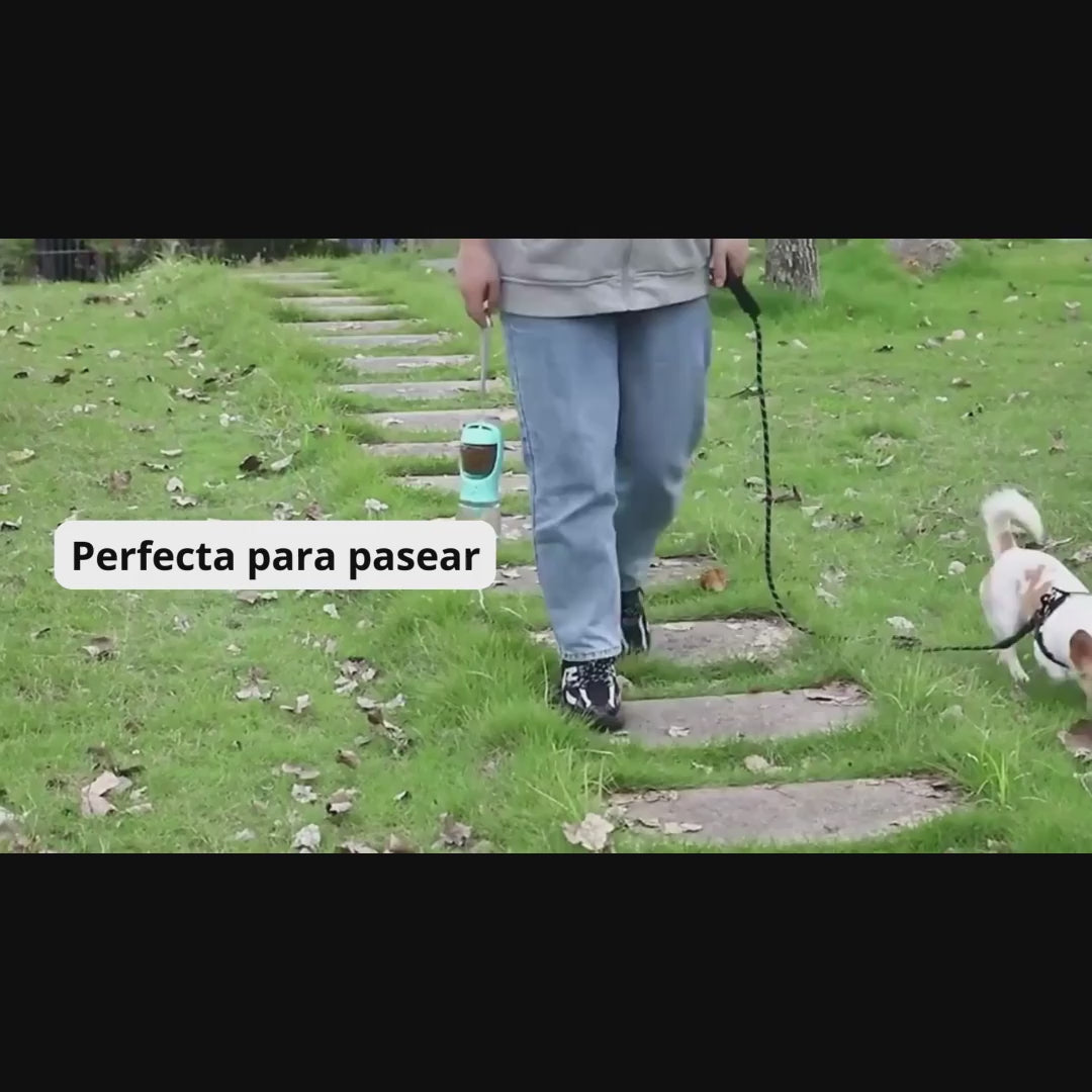 Bebedero portátil para perros y snacks