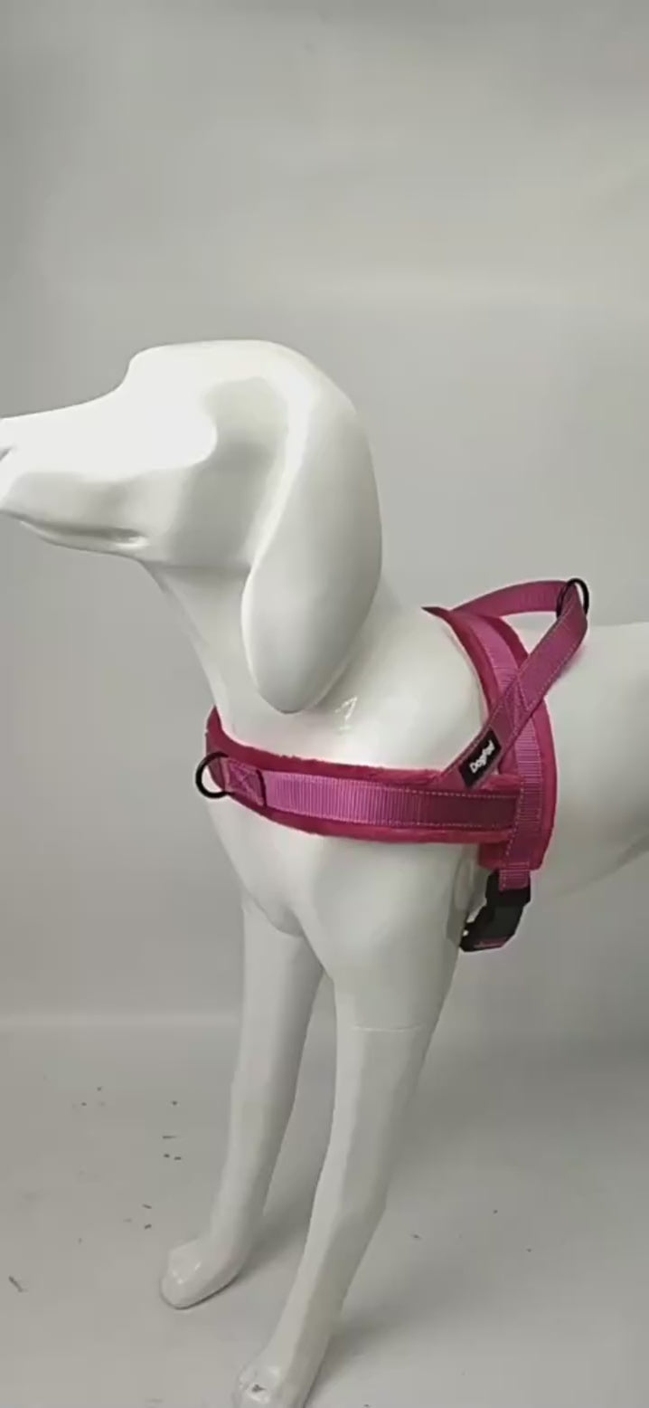 Verstellbares, gepolstertes Hundegeschirr