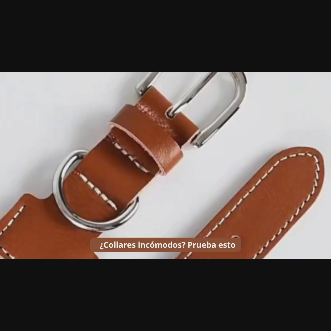 Verstellbares Lederhalsband für Haustiere