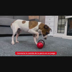 Dispensador de comida para perros