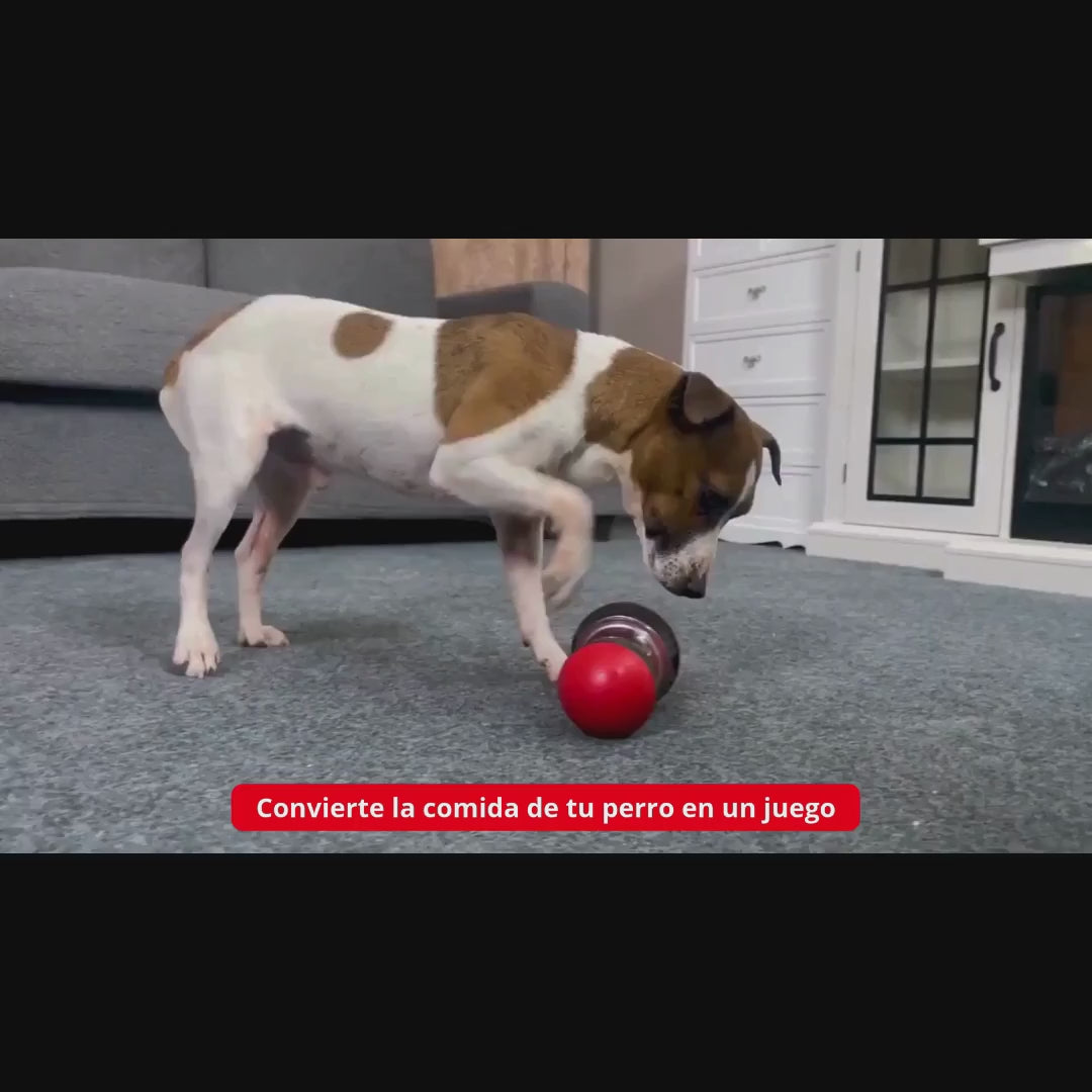 Dispensador de comida para perros