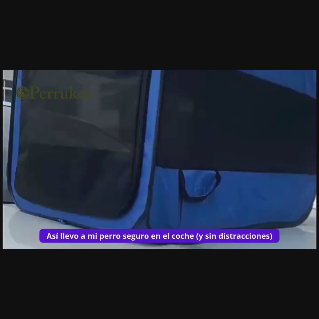 Hundesitz fürs Auto