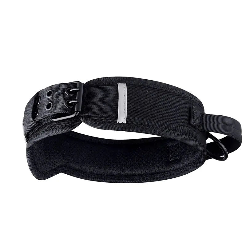 Collar de nylon para perros